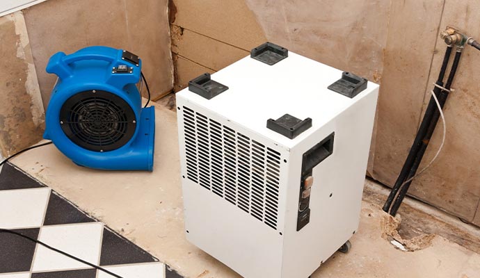 Professional water damage restoration service Professional water damage restoration using specialized equipment