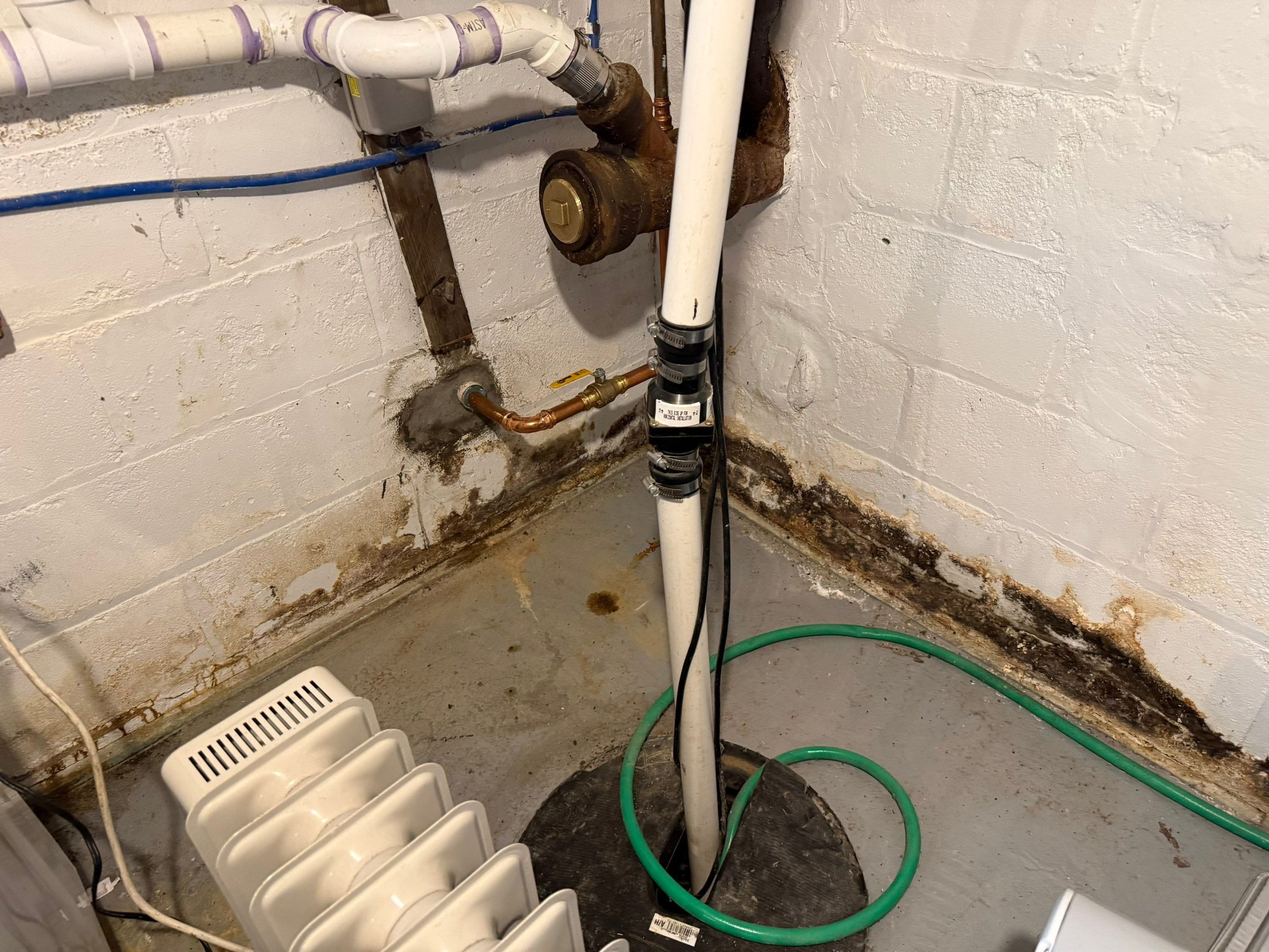 Basement wall with water damage and mold growth requiring remediation and waterproofing in Middletown Township, NJ.