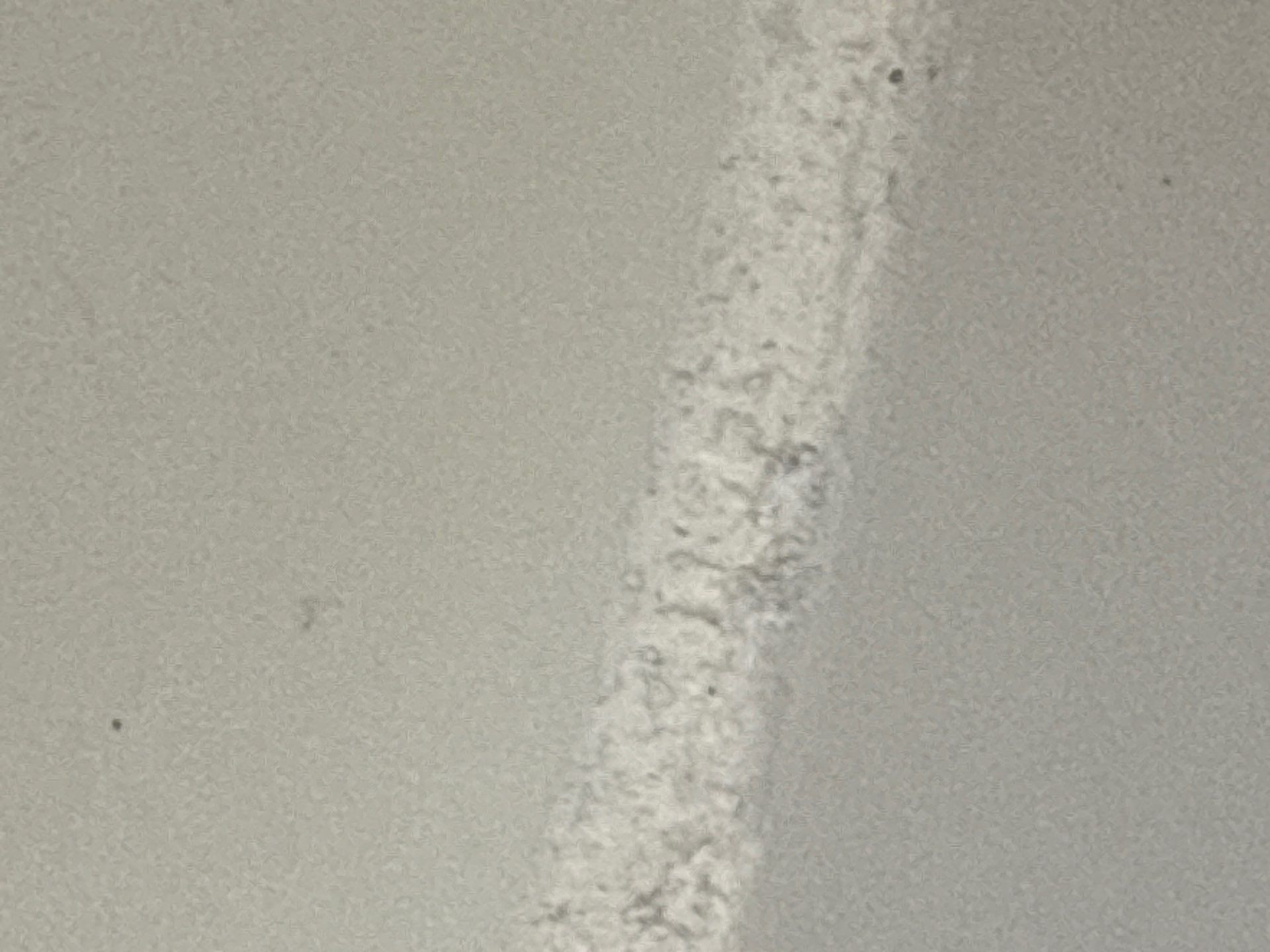 Close-up of a foundation crack and repair work in a New Jersey home.
