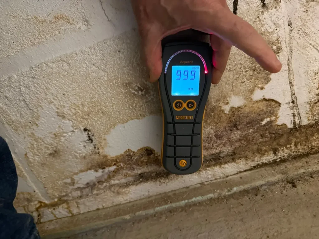 Basement moisture meter detecting water intrusion and high humidity levels in a New Jersey home.