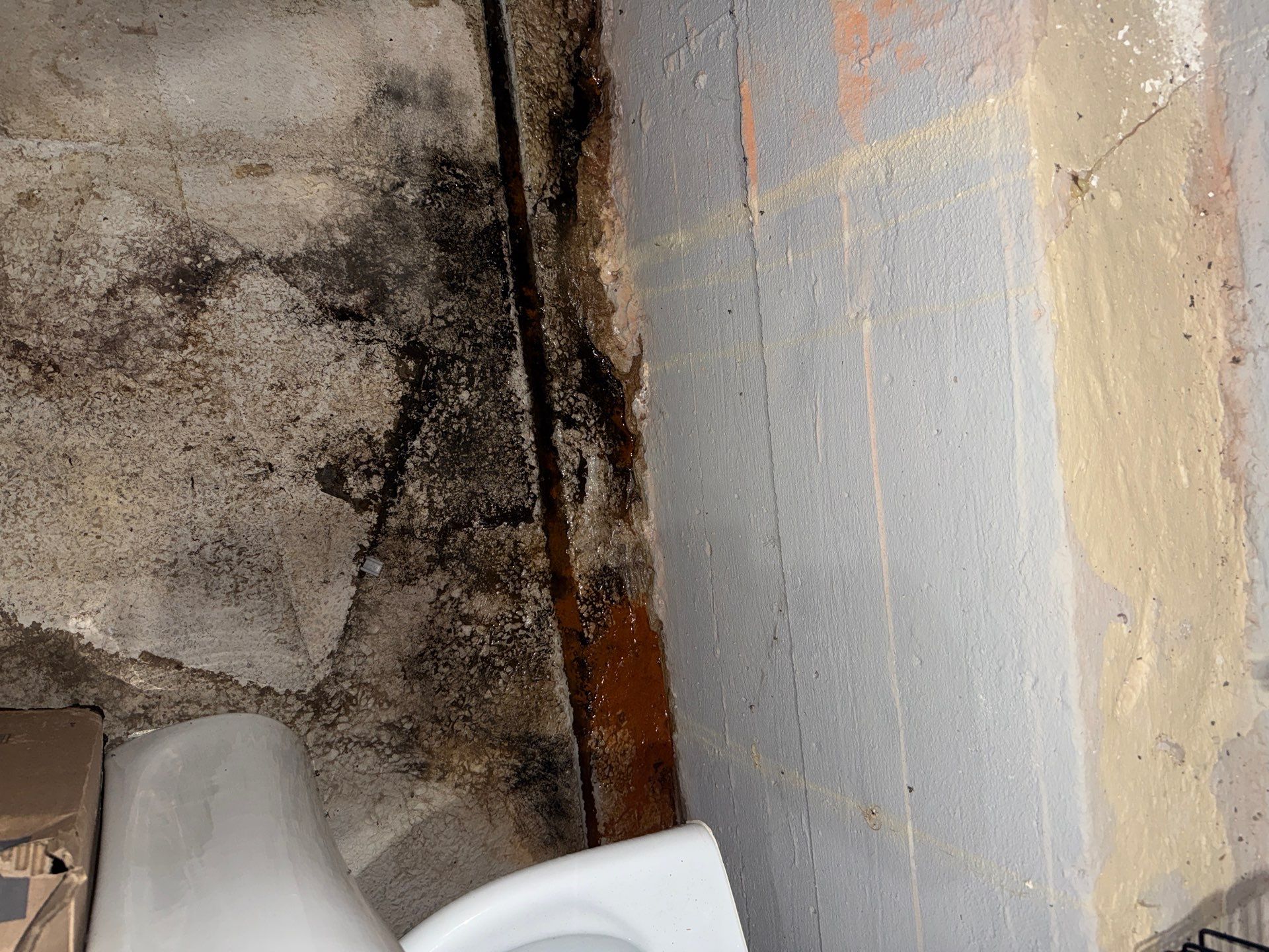 Basement mold remediation NJ example showing dark mold growth and moisture staining along a basement wall and concrete floor.